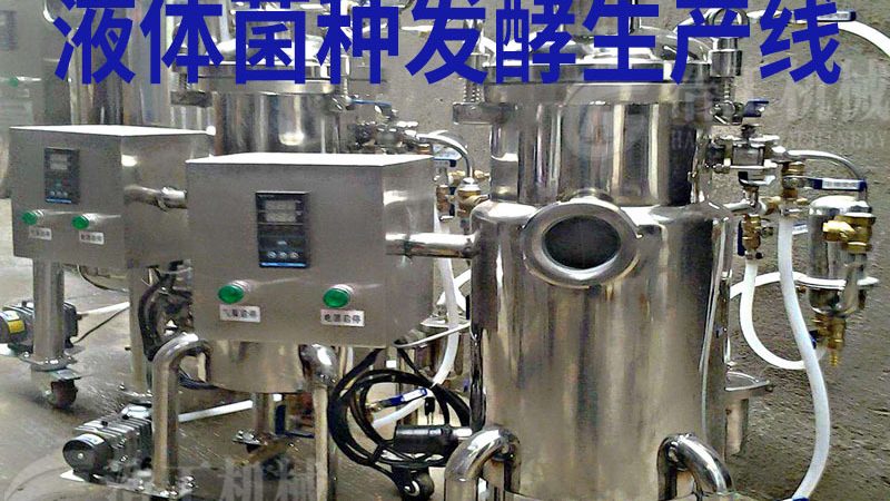 糖果包装生产线租赁：如何选择合适方案